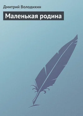 Дмитрий Володихин Маленькая родина обложка книги