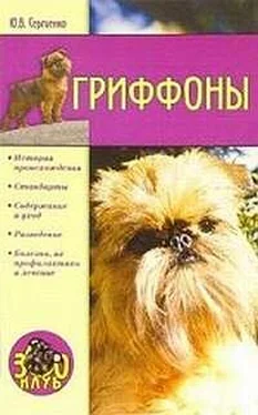 Юлия Сергеенко Гриффоны обложка книги