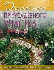 Наталья Передерей - Золотая книга приусадебного участка