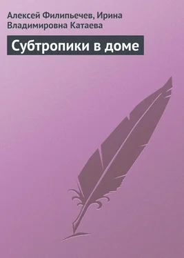 Ирина Катаева Субтропики в доме обложка книги