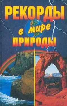 Кристина Ляхова Рекорды в мире природы обложка книги