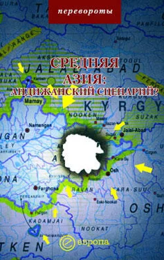 Михаил Мейер Средняя Азия: Андижанский сценарий? обложка книги