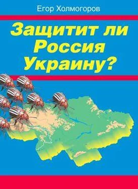 Егор Холмогоров Защитит ли Россия Украину? обложка книги