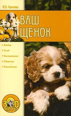 Юлия Сергеенко Ваш щенок обложка книги