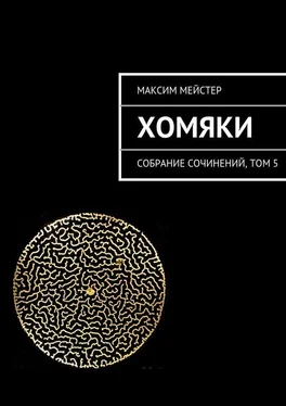 Максим Мейстер Хомяки обложка книги