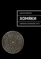 Максим Мейстер - Хомяки