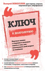 Валерий Новоселов - Ключ к долголетию. Научные знания о старении и полезные советы о том, как использовать свой возраст на maximum