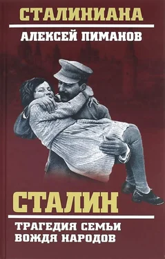 Виталий Павлов Сталин. Трагедия семьи вождя народов