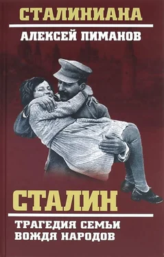 Виталий Павлов Сталин. Трагедия семьи вождя народов обложка книги