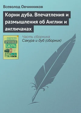 Всеволод Овчинников Корни дуба. Впечатления и размышления об Англии и англичанах обложка книги