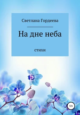 Светлана Гордеева На дне неба обложка книги