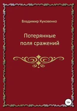Владимир Куковенко Потерянные поля сражений обложка книги