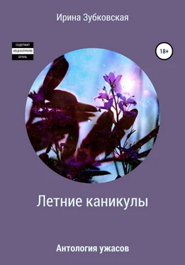 Ирина Зубковская Летние каникулы обложка книги