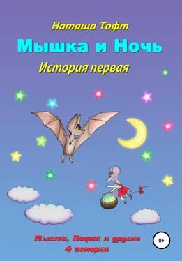 Наташа Тофт Мышка и ночь обложка книги