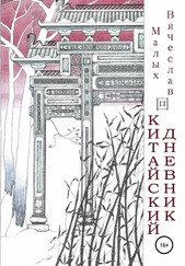 Вячеслав Малых - Китайский дневник