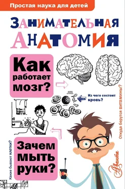 Нина Буянова Занимательная анатомия обложка книги