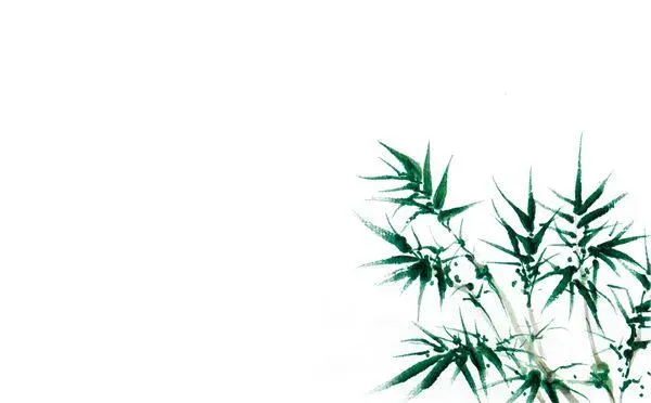 Я не хочу выходить замуж за когото богатого и могущественного настаивала - фото 4