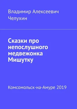 Владимир Челухин Сказки про непослушного медвежонка Мишутку обложка книги