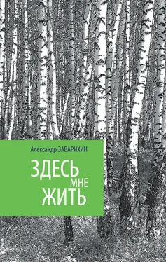 Александр Заварихин Здесь мне жить обложка книги