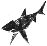 Эта история произошла очень давно В пещерке кораллового рифа жилбыл Акуленок - фото 11