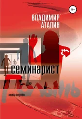 Владимир Атапин - Полынь. Семинарист