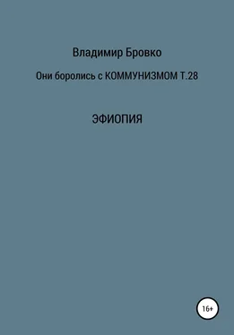 Владимир Бровко Они боролись с коммунизмом. Том 28 обложка книги