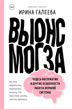 Ирина Галеева Вынос мозга. Чудеса восприятия и другие особенности работы нервной системы обложка книги