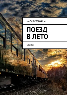 Мария Строкина Поезд в лето. Стихи обложка книги