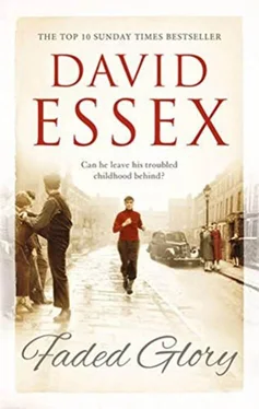 David Essex Faded Glory обложка книги