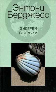 Энтони Берджесс Эндерби снаружи обложка книги