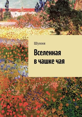 Шуния Вселенная в чашке чая обложка книги