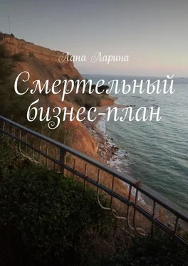 Лана Ларина Смертельный бизнес-план обложка книги