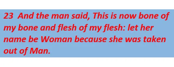 After removal of the bone the man divided into husband and wife On the basis - фото 11