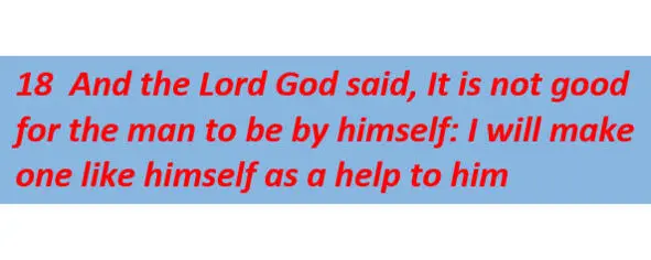 The words it is not good for the man to be by himself means that a person in - фото 7