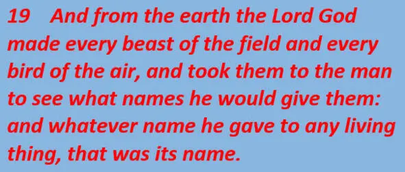 The process of the formation of animals and birds from the land demanded - фото 8