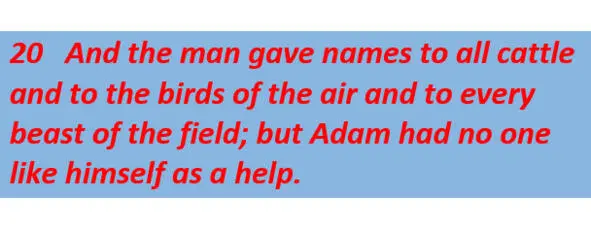 In the process of naming an attempt was made to select a partner for man among - фото 9