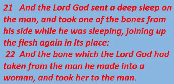 These lines describe exactly how a person was divided into two sexes The - фото 10