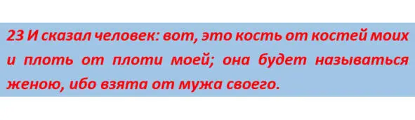 После изъятия ребра человек разделился на мужа и жену На базе более сложной - фото 12