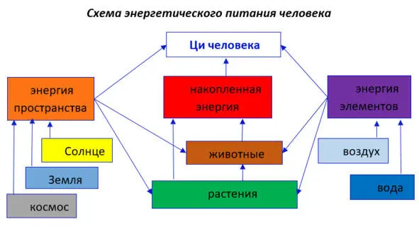 Люди и животные в отличии от растений в существенно меньших объёмах улавливают - фото 2