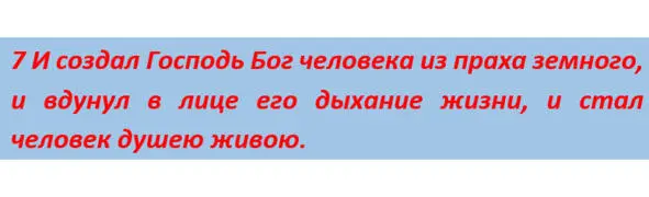 Чтобы организовать энергетическую субстанцию потребовалась форма Она была - фото 5