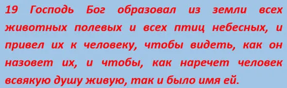Процесс образования из земли животных и птиц требовал воплощения в реальность - фото 8