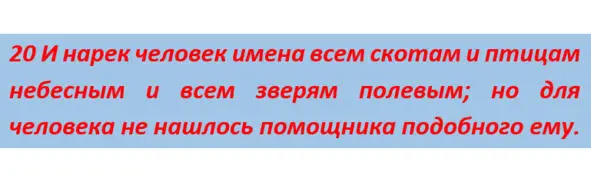 В процессе наречения была предпринята попытка подобрать для человека партнёра - фото 10