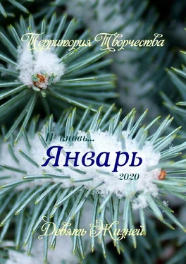 Валентина Спирина Январь. Девять Жизней обложка книги