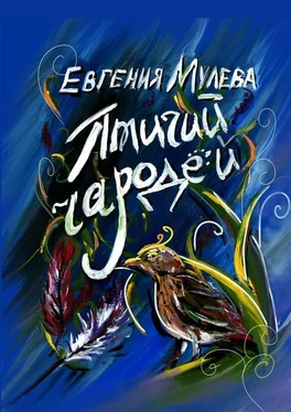 Евгения Мулева Птичий чародей обложка книги