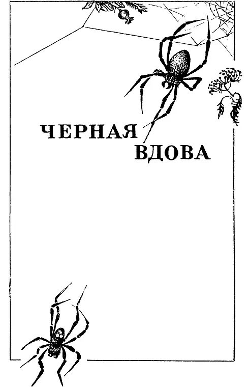 Неожиданная находка Все началось совершенно случайно Через несколько лет - фото 2