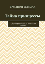 Валентин Шентала - Тайна принцессы. Социально-фантастический роман