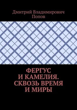 Дмитрий Попов Фергус и Камелия. Сквозь время и миры обложка книги