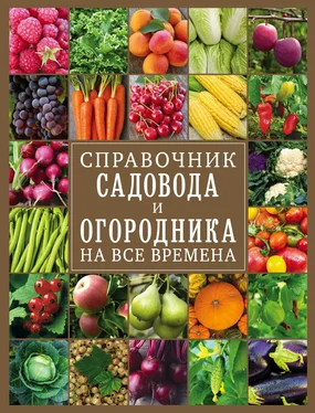 О. Крылова Справочник садовода и огородника на все времена обложка книги