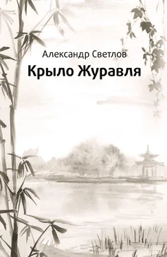 Александр Светлов Крыло журавля обложка книги