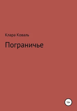 Клара Коваль Пограничье обложка книги